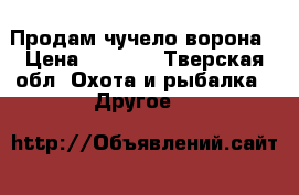 Продам чучело ворона › Цена ­ 9 000 - Тверская обл. Охота и рыбалка » Другое   